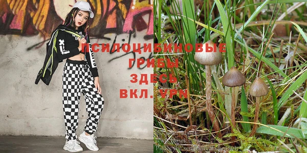 mdpv Абдулино