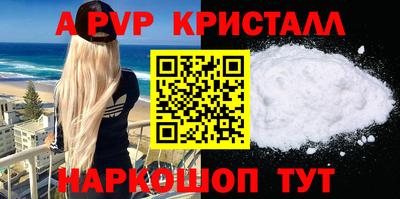 стафф Донской