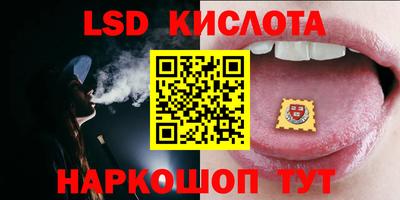 стафф Донской