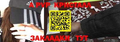 стафф Донской