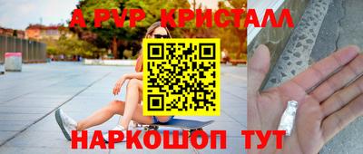 стафф Донской
