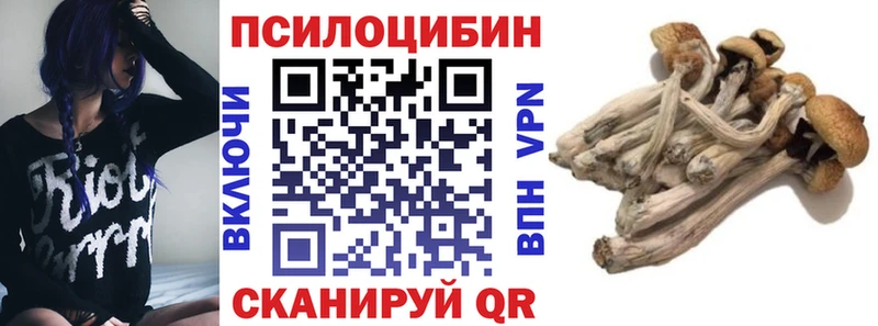 кракен ТОР  нарко площадка клад  Галлюциногенные грибы Psilocybine cubensis  Прокопьевск 