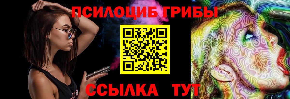 Псилоцибиновые грибы Cubensis  Вход с VPN  Прокопьевск 